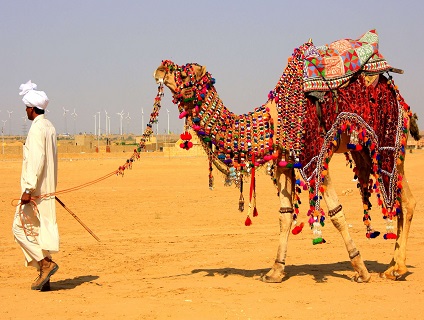 Jaisalmer Desert Safari