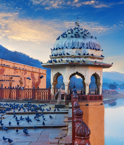 shutterstock_2021577023